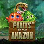 Fruits of the Amazon